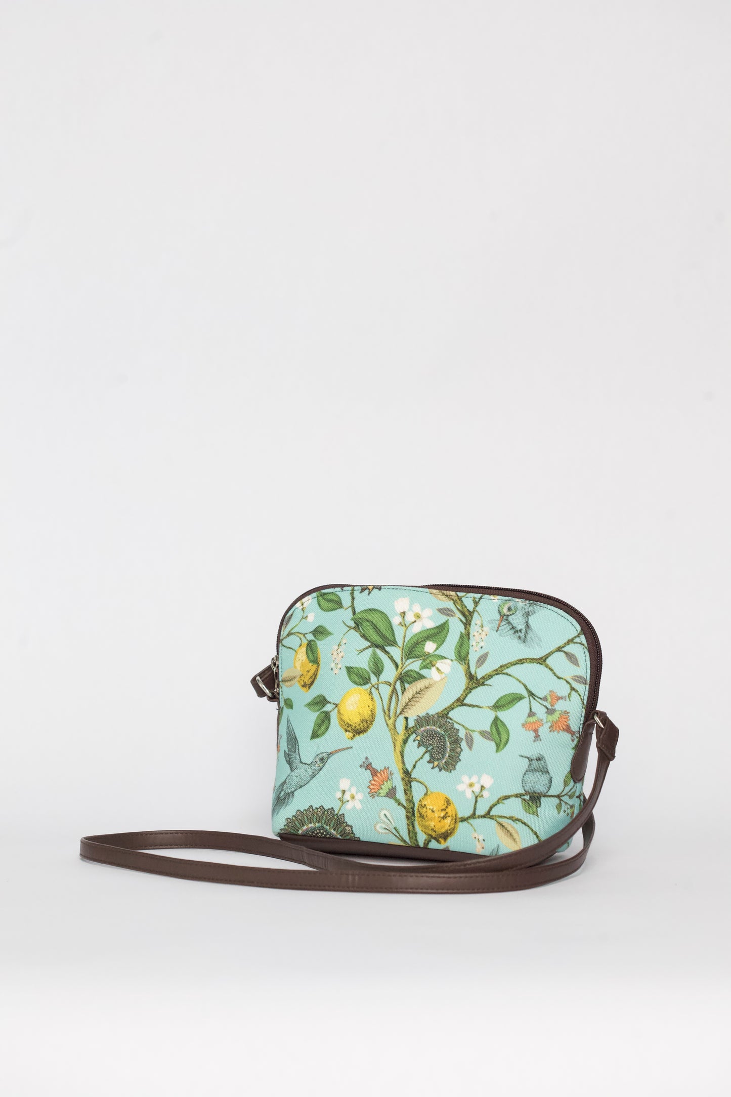 Desi Pop Canvas Sling Bags