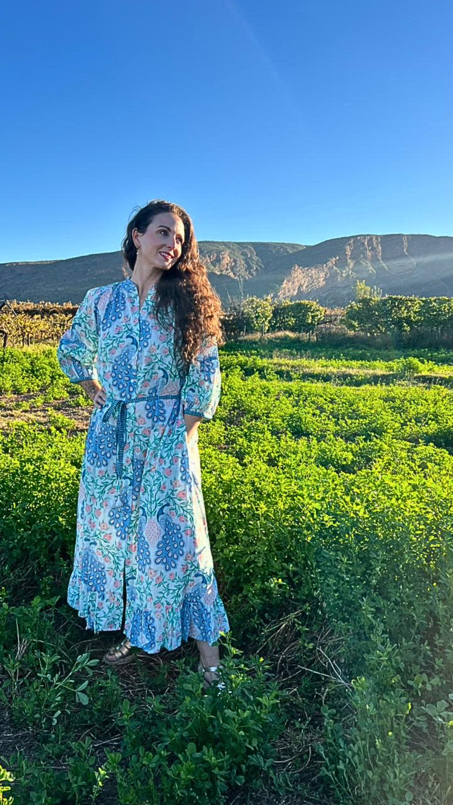 Charlie Grace Dress - Peacock under the vines