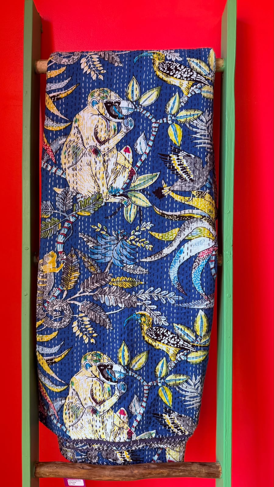 Royal Blue Monkies, Birds and Ground Horn Bills